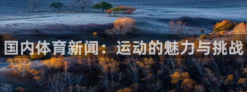 国内体育新闻：运动的魅力与挑战