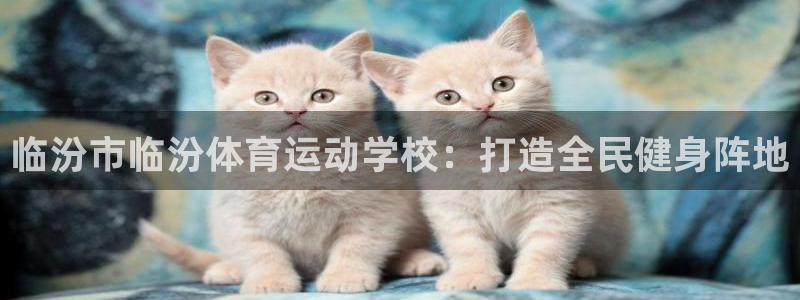 临汾市临汾体育运动学校：打造全民健身阵地