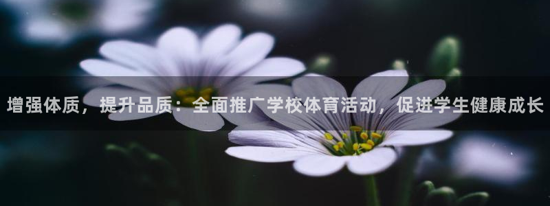 增强体质，提升品质：全面推广学校体育活动，促进学生健康成长