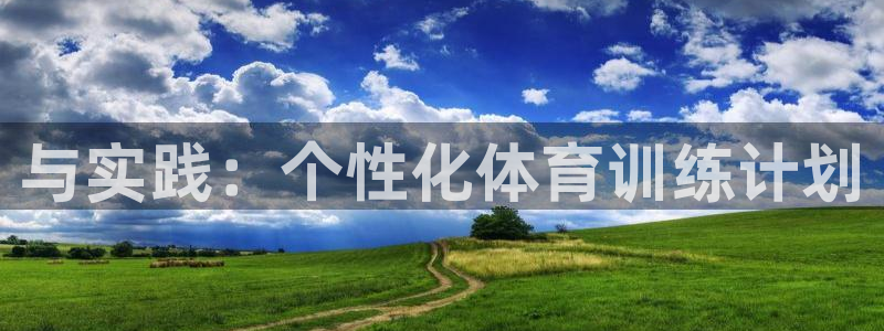与实践：个性化体育训练计划