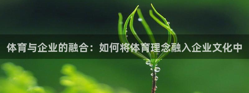体育与企业的融合：如何将体育理念融入企业文化中
