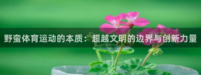 野蛮体育运动的本质：超越文明的边界与创新力量