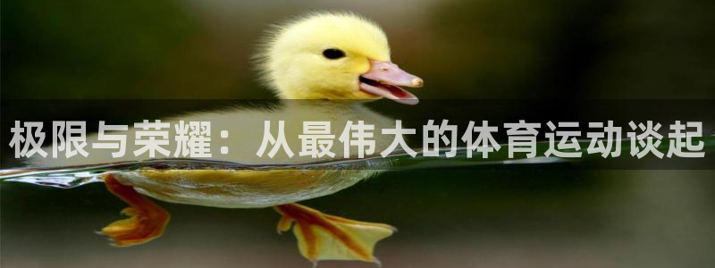 极限与荣耀：从最伟大的体育运动谈起
